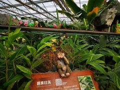 -南宫五洲植物乐园