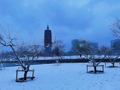 -西海子公园