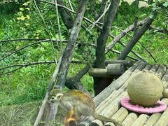 -青藏高原野生动物园
