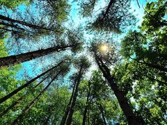 -洛阳白云山景区