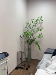 -上海首尔丽格医疗美容医院