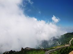 -白草畔自然风景区