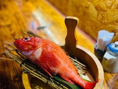 -矶野水产(澳门逸园中心店)