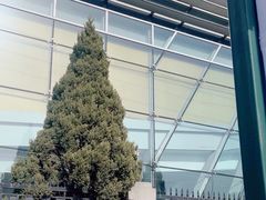 -北京国家会计学院