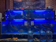 -姜君·千岛湖鱼头馆(浦东大道店)
