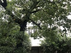-上海市民办新华初级中学