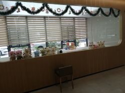 -宝生月子中心·独栋独院式(南山店)