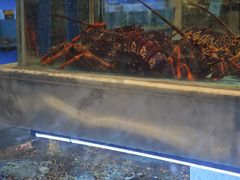 -莆鑫海鲜城(浏河店)