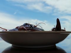 -无锡苏宁银河国际酒店-麺餐厅