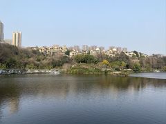-重庆彩云湖湿地公园