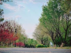 -永定河休闲森林公园