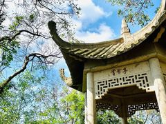 -上海佘山国家森林公园天马山园