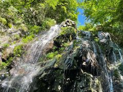 -藏龙百瀑风景区