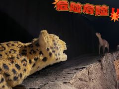 -正佳自然科学博物馆