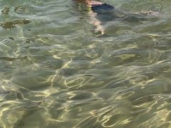 -玫瑰海岸文化旅游度假区