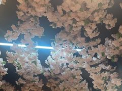 -山西派(桥东街店)