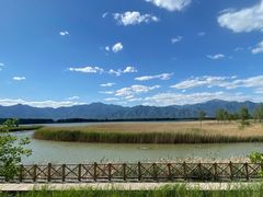 -野鸭湖国家湿地公园