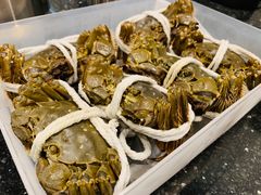 -黄记大闸蟹专卖店·活蟹·醉蟹