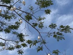 -一寨两国风景区