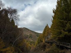 -苏木山森林公园