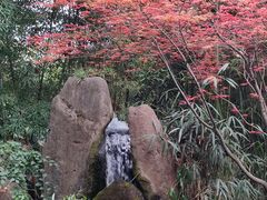 -望江楼公园