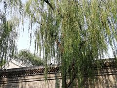 -后海公园