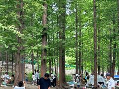 -白水寺森林公园