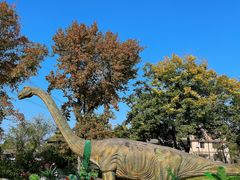 -黄陂区野村谷景区