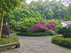 -都江堰普照寺