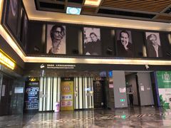 -万达影城(南宁万达茂IMAX店)