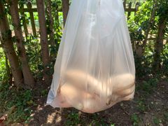 -前小桔亲子创意农场·草莓采摘·露营烧烤