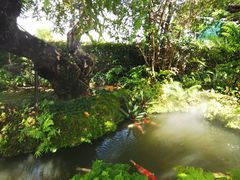 -Chom Cafe and Restaurant