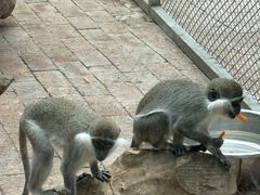 -水上乐园·欢乐世界