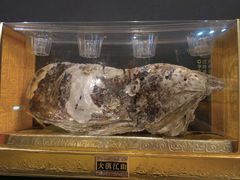 -土蚝·高压锅生蚝(百姓美食街店)