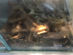 -张记卤菜店(三条巷店)