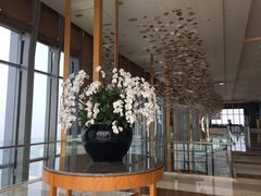 -视界美食自助餐厅·石家庄希尔顿酒店