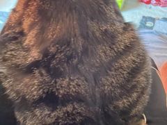 -美联众合动物医院(·中兽医·疑难杂症·严家桥分院)