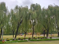 -上海大学(宝山校区)