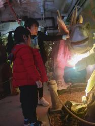 点击看大图 -恐龙探索乐园(磁器口店)