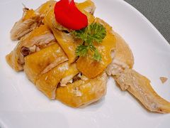 -紫阳富豪大酒店(惠南店)