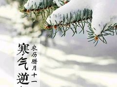 -林记开心动物奶油生日蛋糕(江南春晓店)