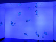 -瑞普利水族馆