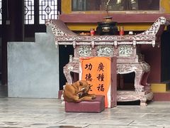 -羊楼洞