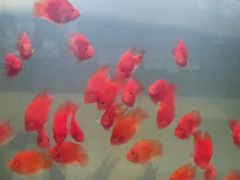 -北纬37°SPA养身会馆(湖西店)