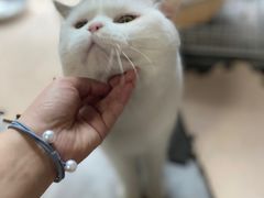 -美美宠物诊疗中心·异宠·骨科(滨江东信分院)