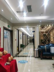 -碧莲盛·不剃发植发