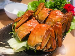 -旺小胖小龙虾