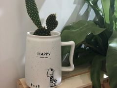 -白日梦奶茶