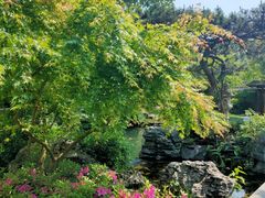 -新荣记(西溪湿地店)