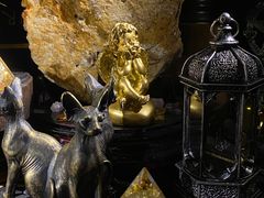 -雪灵魔法世界SHELLY’S TAROT(大良桂畔里店)